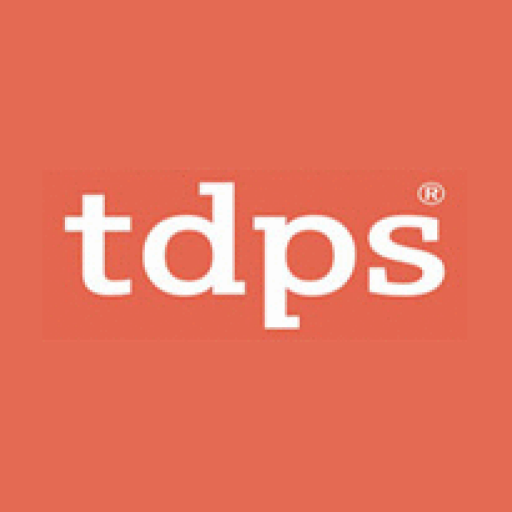 TD Power Systems Share Price